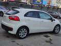 Kia Rio Spirit Weiß - thumbnail 9