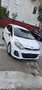 Kia Rio Spirit Weiß - thumbnail 12