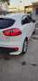 Kia Rio Spirit Weiß - thumbnail 27