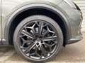 CUPRA Formentor VZ Tribe Edition 2.0 TSI 7-Gang-DSG, N Grau - thumbnail 16