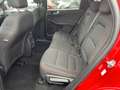 Ford Kuga Plug-In Hybrid 2,5 ST-Line Kamera Navi LED Rot - thumbnail 14