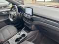Ford Kuga Plug-In Hybrid 2,5 ST-Line Kamera Navi LED Rouge - thumbnail 15
