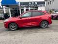 Ford Kuga Plug-In Hybrid 2,5 ST-Line Kamera Navi LED Rot - thumbnail 1
