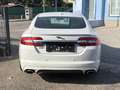 Jaguar XF 3.0 Diesel Premium Luxury R-Dynamic Weiß - thumbnail 5