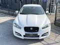 Jaguar XF 3.0 Diesel Premium Luxury R-Dynamic Weiß - thumbnail 2