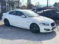 Jaguar XF 3.0 Diesel Premium Luxury R-Dynamic Weiß - thumbnail 6