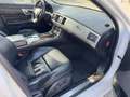 Jaguar XF 3.0 Diesel Premium Luxury R-Dynamic Weiß - thumbnail 12
