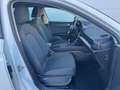 SEAT Leon Leon ST TSI Reference*PICKERL NEU*GARANTIE*LED*APP Weiß - thumbnail 19