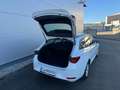 SEAT Leon Leon ST TSI Reference*PICKERL NEU*GARANTIE*LED*APP Weiß - thumbnail 25