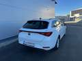 SEAT Leon Leon ST TSI Reference*PICKERL NEU*GARANTIE*LED*APP Weiß - thumbnail 17