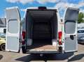 Fiat Ducato Ducato Blanco - thumbnail 3