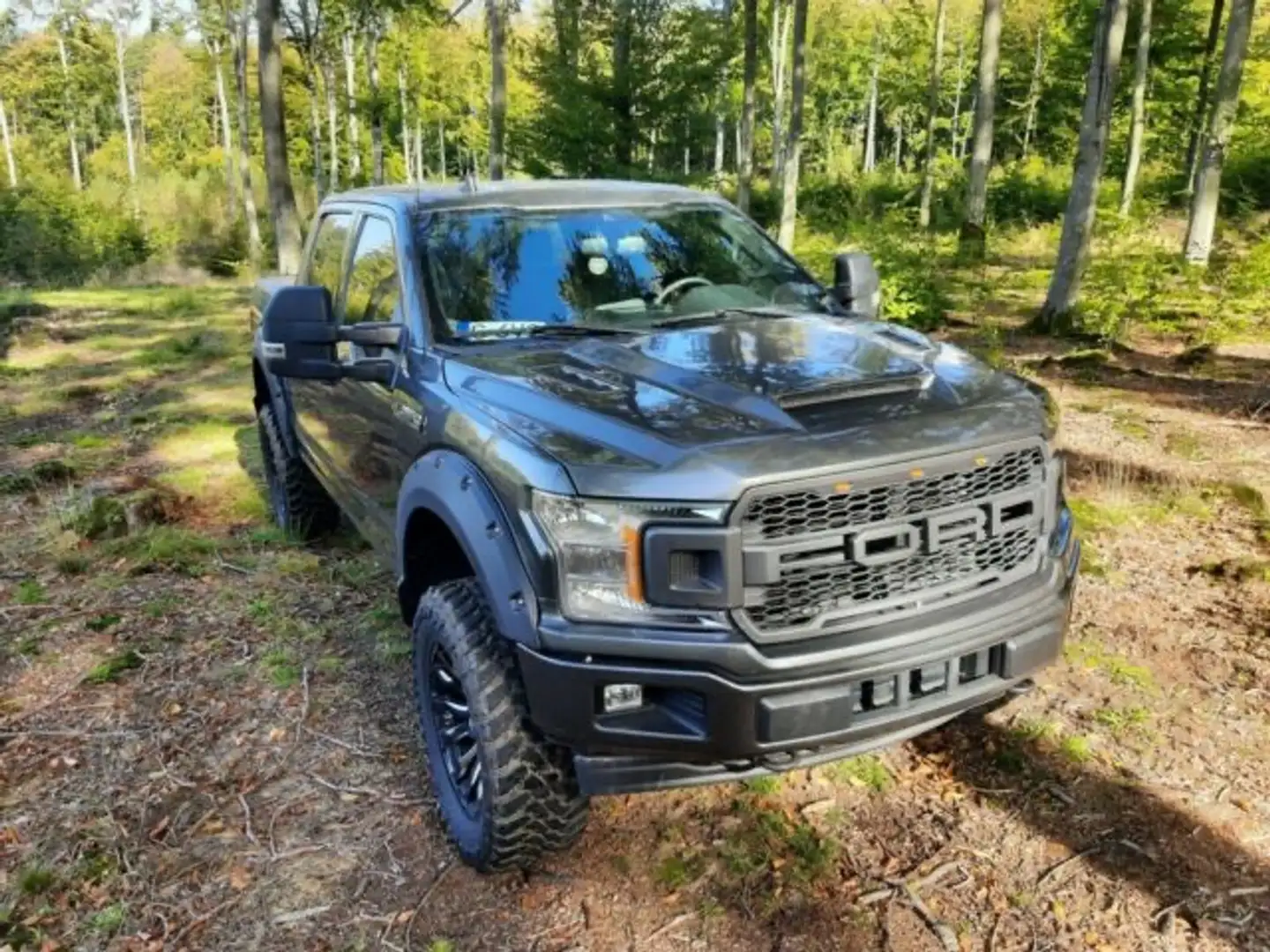 Ford F 150 Super Crew Pickup 4x4 Raptor Optik Texas Edition Grau - 2