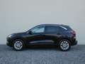 Ford Kuga 2.5 PHEV Titanium +360°+AHK+Winter+LED Schwarz - thumbnail 9