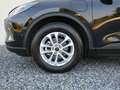 Ford Kuga 2.5 PHEV Titanium +360°+AHK+Winter+LED Schwarz - thumbnail 24
