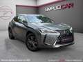 Lexus Luxe Gris - thumbnail 1