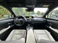 Lexus Luxe Gris - thumbnail 5