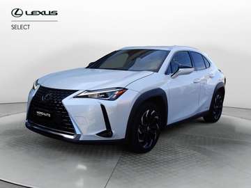 Hybrid Premium