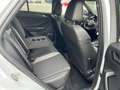 Volkswagen T-Roc R 4Motion LED Shz PDC R-Kamera ACC Blanco - thumbnail 15