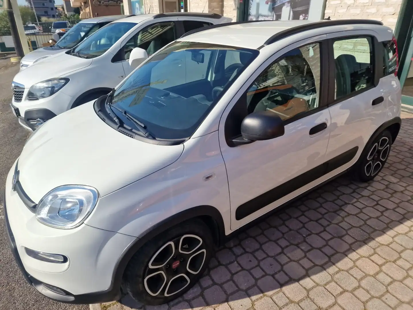 Fiat Panda 1.0 FIREFLY S&S CITY LIFE*PREZZO REALE ITALIANA* Bianco - 2