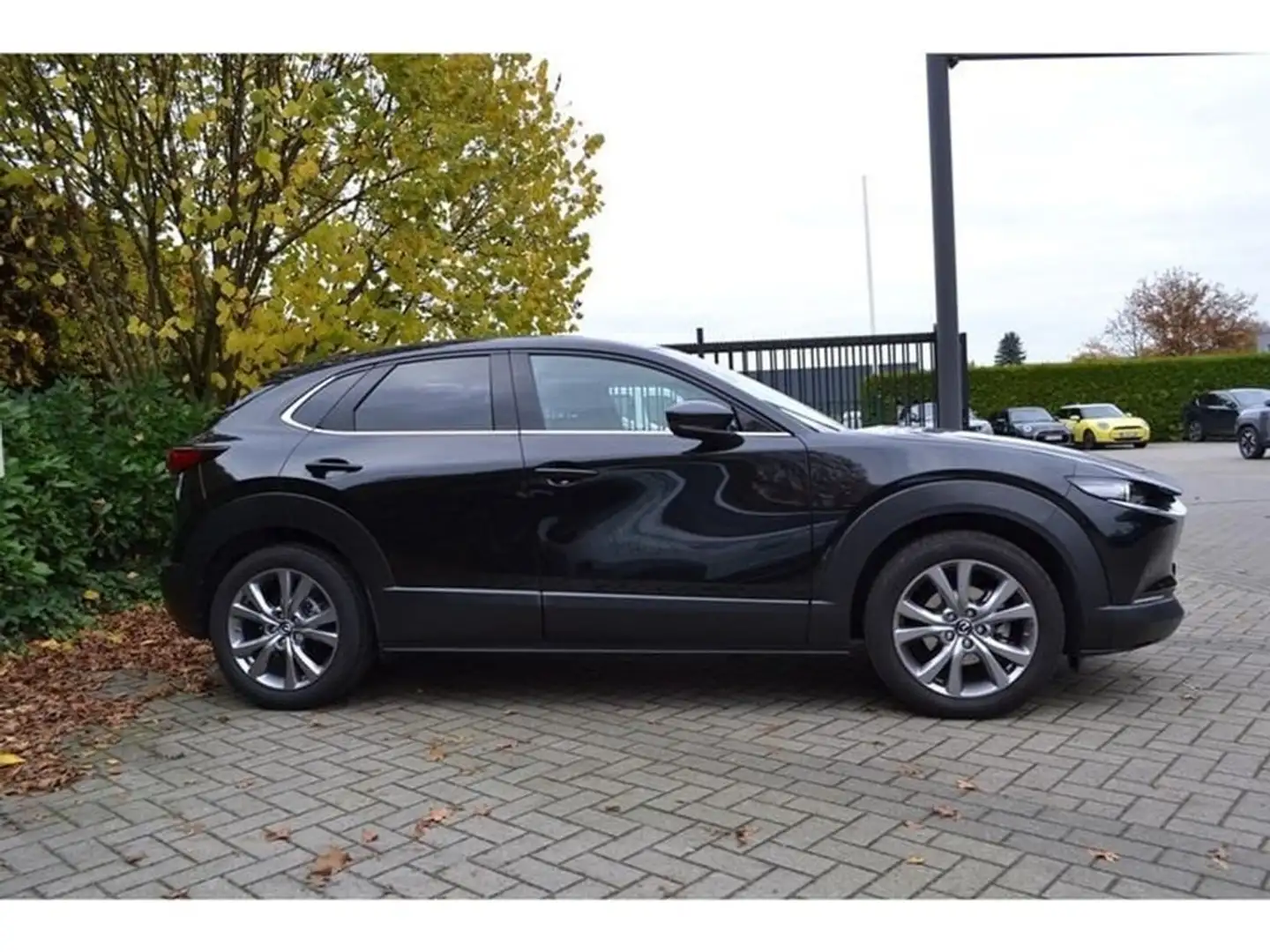 Mazda CX-30 Hakoné - e-SKYACTIV-G - Directiewagen Noir - 2