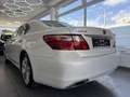 Lexus LS 600 h AWD 5.0 Hybr/Benzin/E /Luxury Line SCHIEBEDAC... Weiß - thumbnail 7