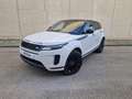 Land Rover Range Rover Evoque Range Rover Evoque 2024 2.0d i4 mhev S awd 163cv Bianco - thumbnail 1