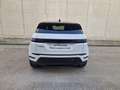 Land Rover Range Rover Evoque Range Rover Evoque 2024 2.0d i4 mhev S awd 163cv Bianco - thumbnail 7
