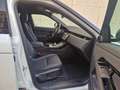 Land Rover Range Rover Evoque Range Rover Evoque 2024 2.0d i4 mhev S awd 163cv Bianco - thumbnail 3