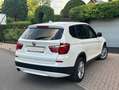 BMW X3 BMW X3 2.0D XDRIVE PACK-SPORT - thumbnail 6