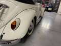 Volkswagen Kever VW Kever Cabrio Blanc - thumbnail 14