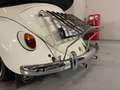 Volkswagen Kever VW Kever Cabrio Blanc - thumbnail 23