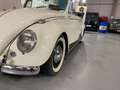 Volkswagen Kever VW Kever Cabrio Blanc - thumbnail 16