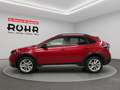 Volkswagen Taigo Goal (Garantie 02/2030.AHK.Navi.PDC.Regensensor) 1 Rot - thumbnail 4