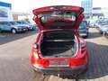 Mazda CX-3 2.0 Sport Line, AHKm Navi, LED, HeadUp Rot - thumbnail 12