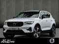 Volvo XC40 T4 Plus Dark Recharge Plug-In Hybrid 2WD Wit - thumbnail 1