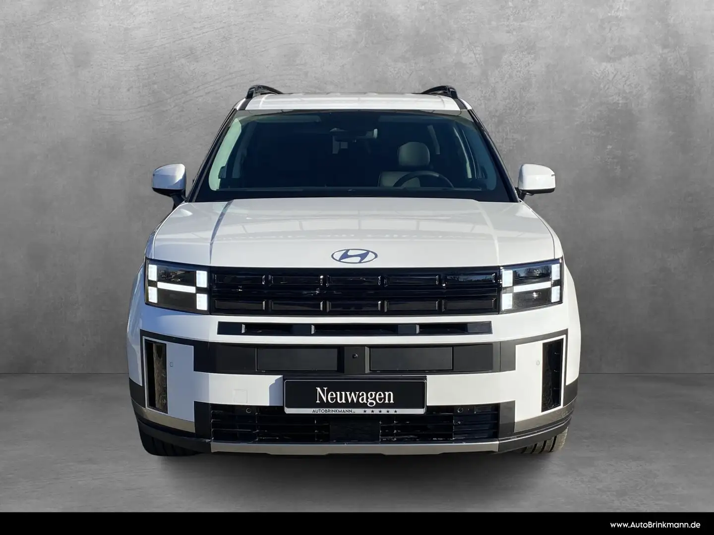 Hyundai SANTA FE Santa Fe 1.6T-GDI Signature PHEV 4WD WKR/HeadUp Weiß - 2