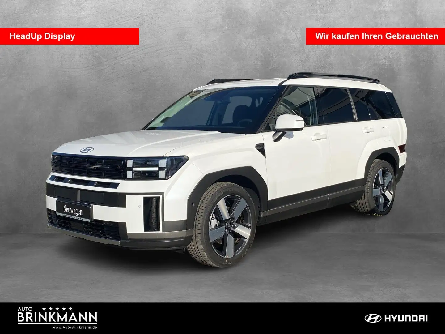 Hyundai SANTA FE Santa Fe 1.6T-GDI Signature PHEV 4WD WKR/HeadUp Weiß - 1