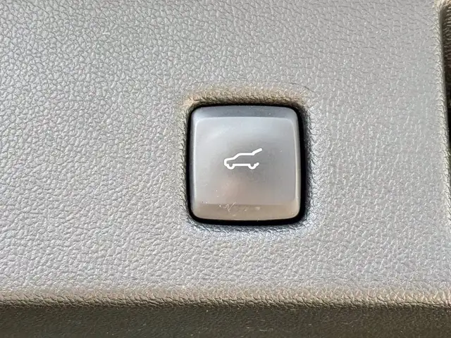 Ford Kuga view 12