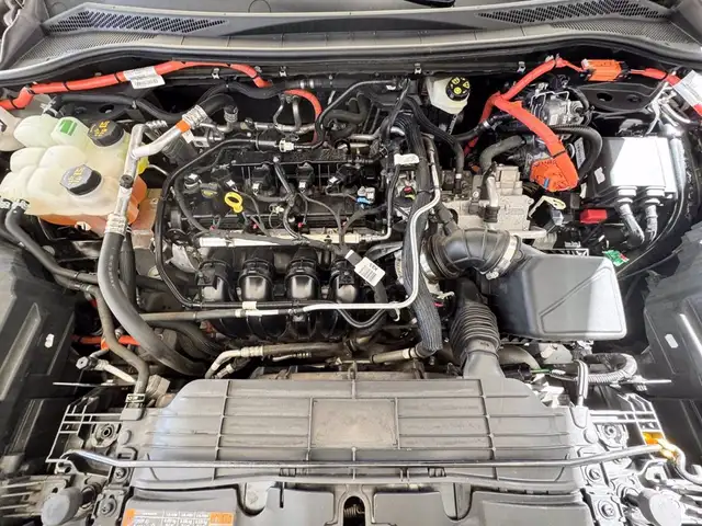 Ford Kuga view 13