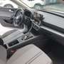 SEAT Leon 1.0 eTSI 110 CV DSG Businnes Wit - thumbnail 14