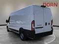 Fiat Ducato L4H2 MY25 Maxi Kawa verblecht Techno-Paket uvm. Weiß - thumbnail 2