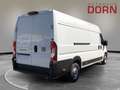 Fiat Ducato L4H2 MY25 Maxi Kawa verblecht Techno-Paket uvm. Weiß - thumbnail 3