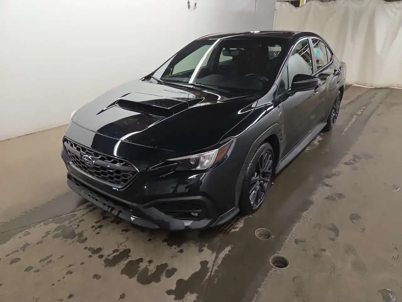 2023 Subaru WRX