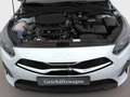 Kia Ceed / cee'd Ceed 1.5T DCT Ultimate Edition Navi Kamera JBL Weiß - thumbnail 20