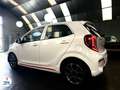 Kia Picanto 1.2 DPi 84ch BVMA5 GT Line Blanco - thumbnail 5