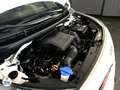 Kia Picanto 1.2 DPi 84ch BVMA5 GT Line Blanco - thumbnail 35