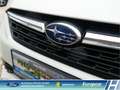 Subaru Impreza Exclusive 1.6i EU6d Allrad Navi CarPlay Sitzhzg. 1 Blanc - thumbnail 31