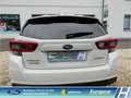 Subaru Impreza Exclusive 1.6i EU6d Allrad Navi CarPlay Sitzhzg. 1 Blanc - thumbnail 5