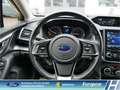 Subaru Impreza Exclusive 1.6i EU6d Allrad Navi CarPlay Sitzhzg. 1 Blanc - thumbnail 14