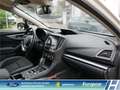 Subaru Impreza Exclusive 1.6i EU6d Allrad Navi CarPlay Sitzhzg. 1 Blanc - thumbnail 29